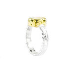 Anne Ring