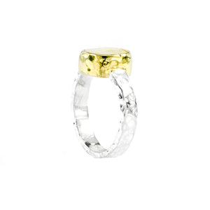 Anne Ring